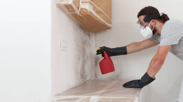 Professional Bathroom Mold Removal technician working in Manchester, PA